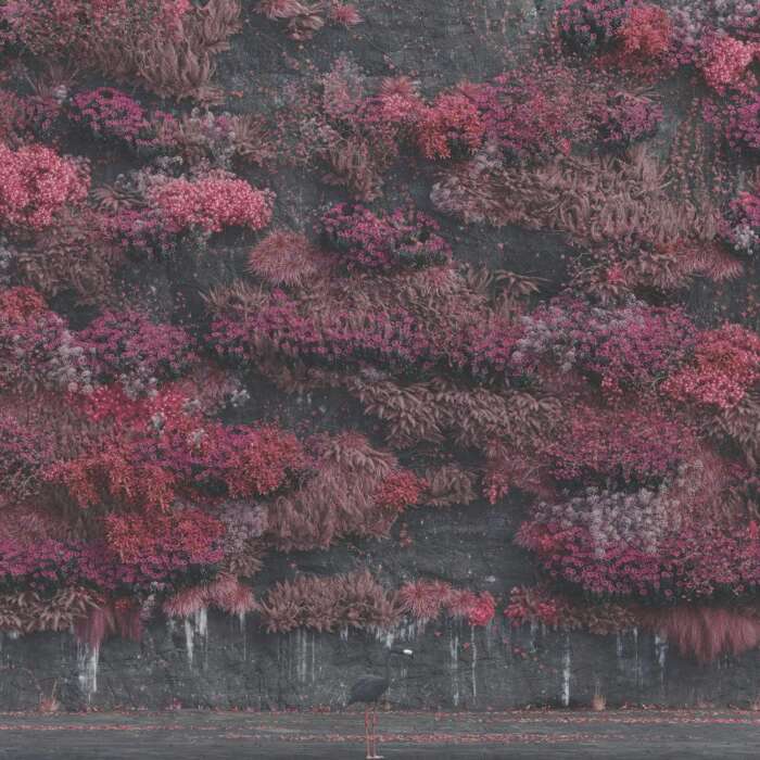 Sleep Token Even In Arcadia Album Cover