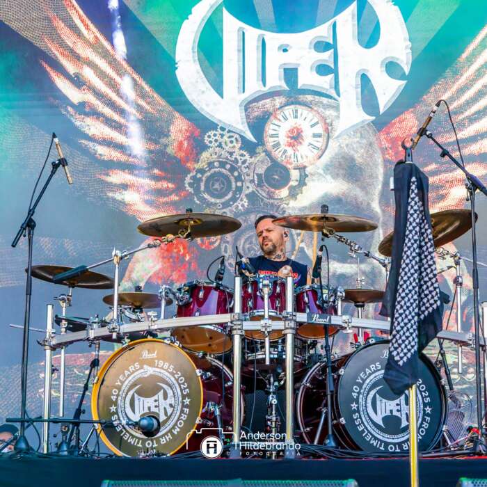 Bangers Viper 11